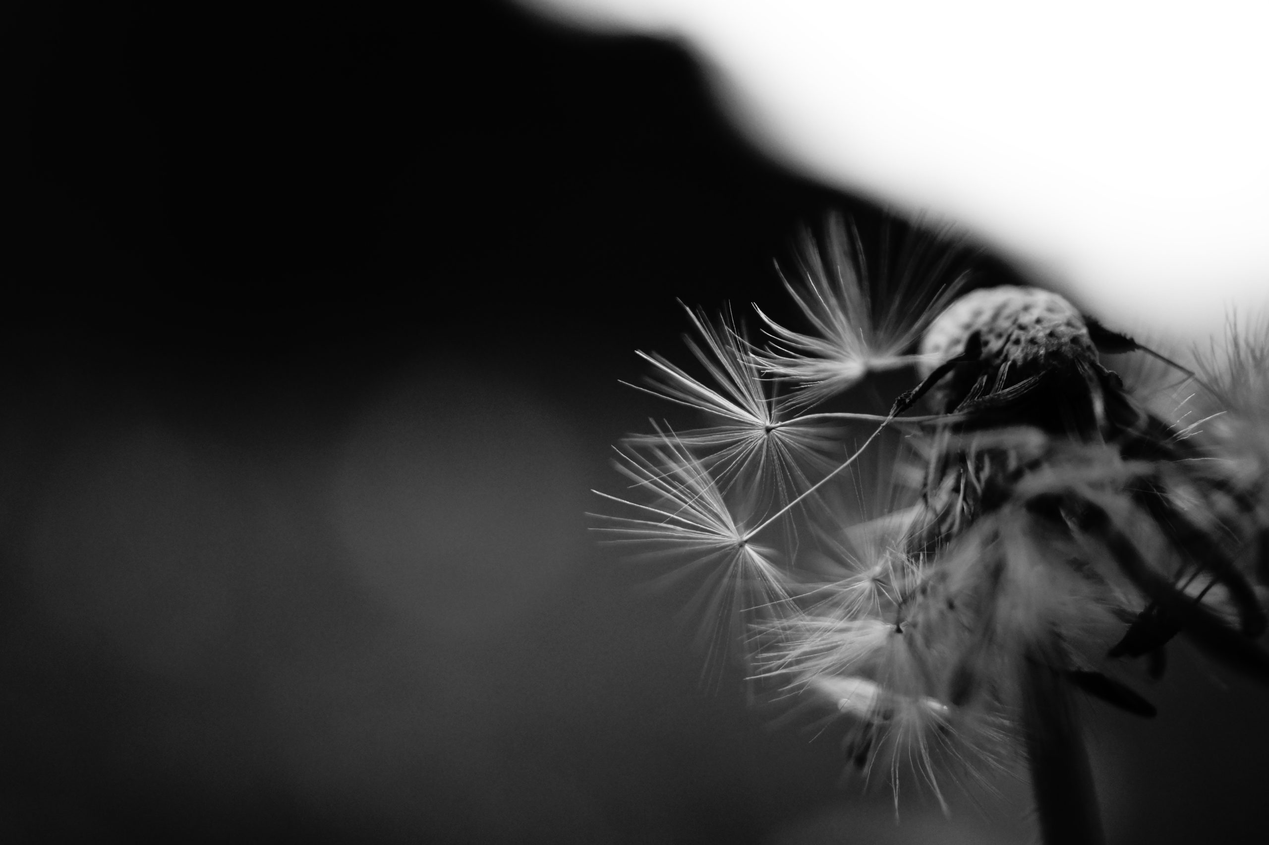 Foto von Nicole Grimm